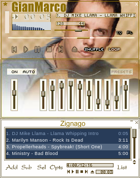 "GianMarco Zignago Skin"