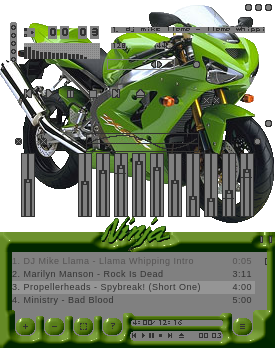ZX6RR