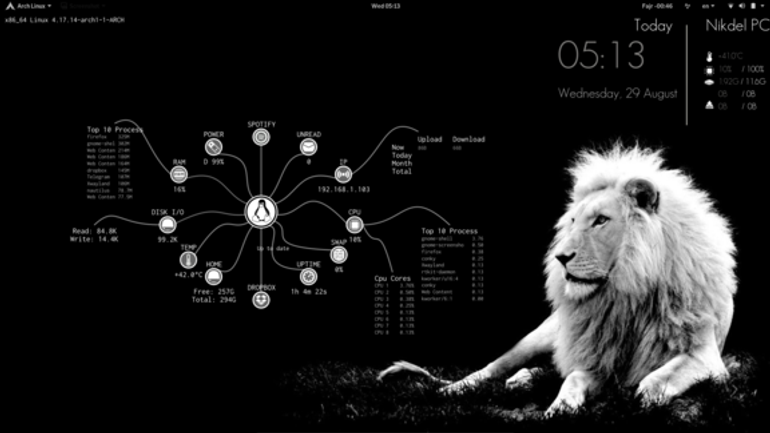 conky liontheme