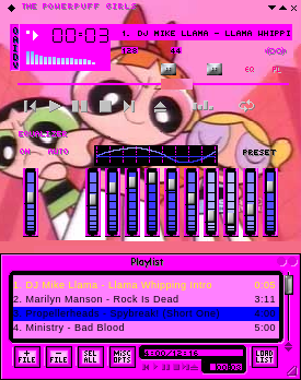 The Powerpuff Girls Fun Times