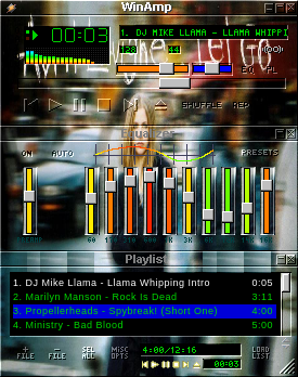Avril Lavigne Let Go