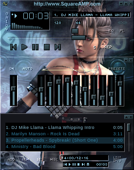 Ffx 2 Paine In Temple
