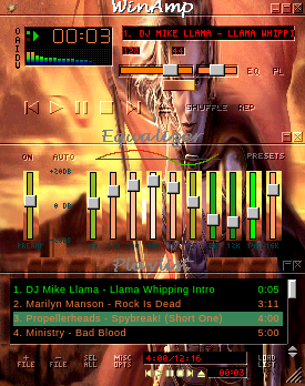 Amazon Winamp Skin
