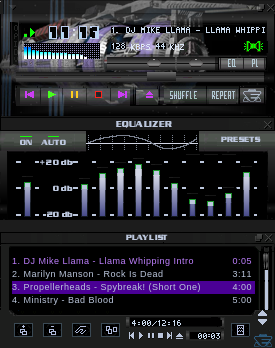 B5 Skin
