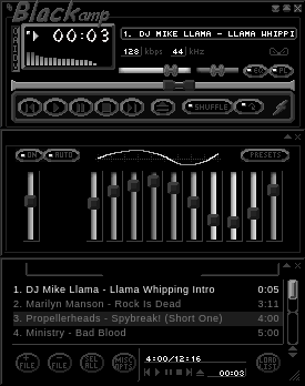 Blackamp2000