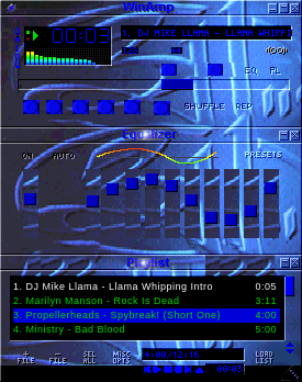 311skin