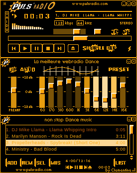 Skin Puls' Radio