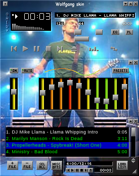 Winamp skin by XDM (DariusM@takas.lt)
