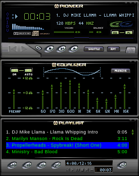Pioneer