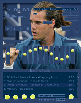 Tommy Haas
