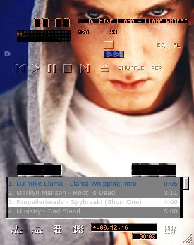 The Em Skin