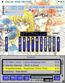 Sailor Moon Angel Destiny
