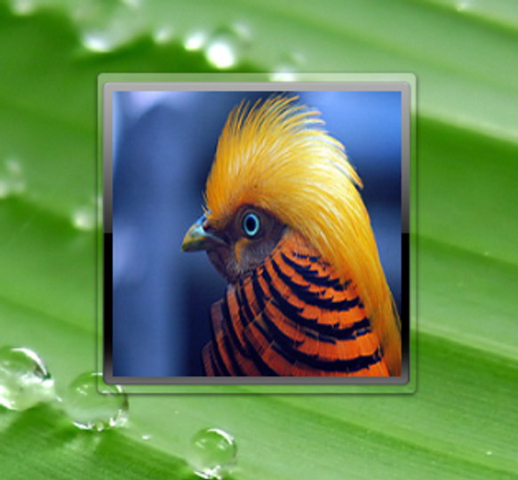 SlideShow Screenlet