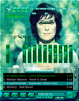 Enya May It Be Skin