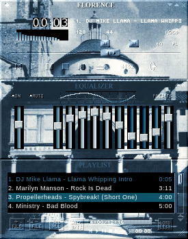 This WinAmp skin is made by Victor Axinte.