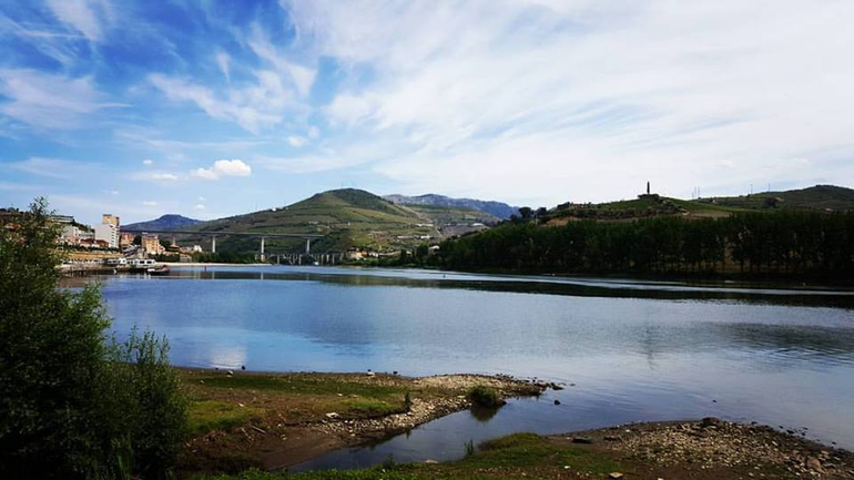 Douro-plasma-theme