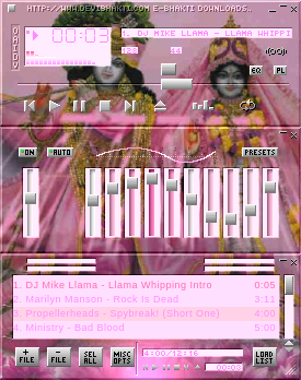 Jai Jai Shree Radha