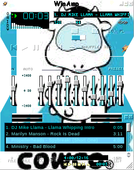Created with skinamp 1.14