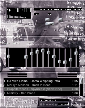 skin for winamp 2x
