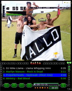 Gallo v2.1 gallo by bruno henrique godoy