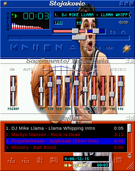 Stojakovic