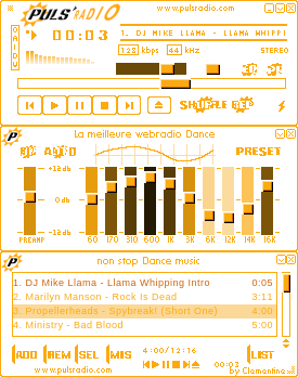 Skin Puls' Radio