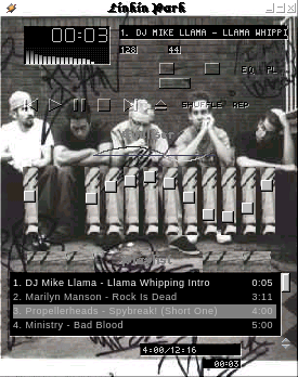 Lpskin