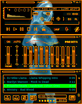 this Skin is for winamp 2.x