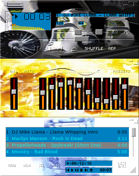 Just unzip to your winamp skins folder.