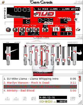Team Canada Skinz