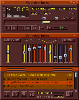 1. Spremite ZIP file u direktorij /winamp/skins/