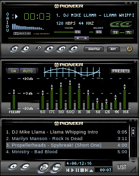 Pioneeramp[1]