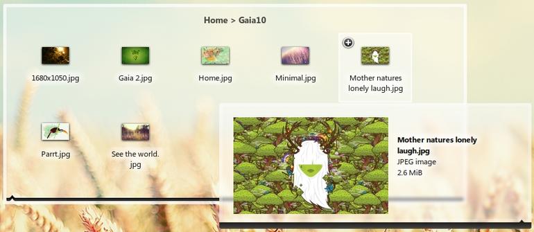 Gaia10