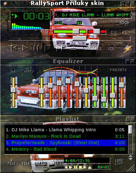 Rallysport Priluky Skin