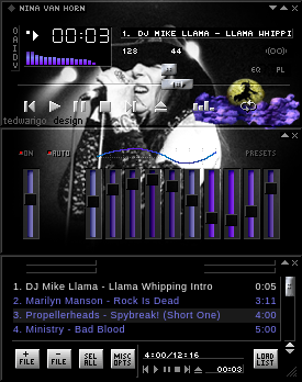 Nina's winamp skin has been released in 2003.