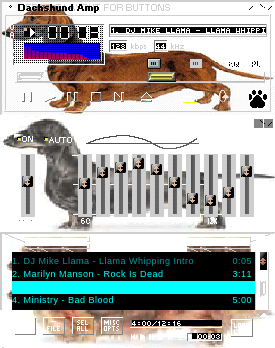 Dachshund Amp