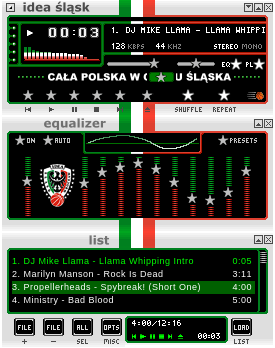 Idea Slask Wroclaw Amp