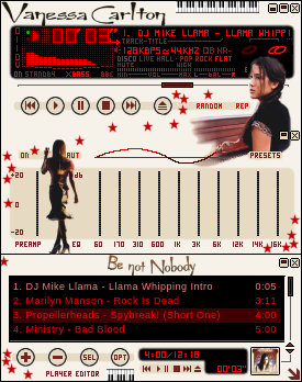 Thank you for downloading my skin for Winamp 2.x
