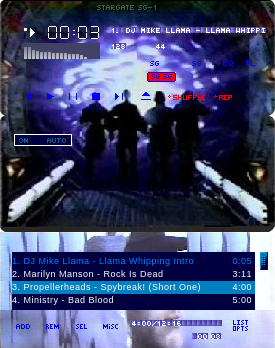 The name of this skin is Stargate SG-1.