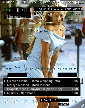 www.disinformatique.com/skins