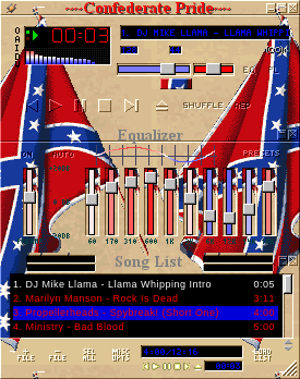 Confederate Pride