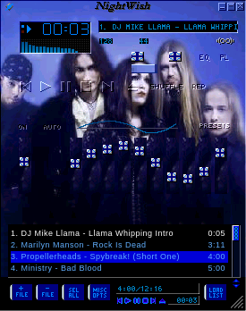 Nightwish Image
