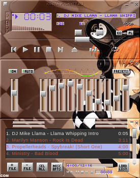 WinAmp Skin