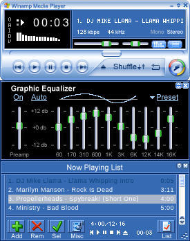 Winamp Media Player 10