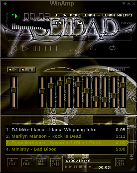 Alternate WinAmp Skin by