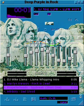 Deep Purple 03