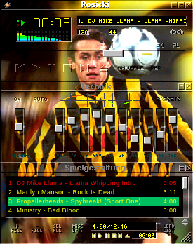 Einer der besten Spielmacher der Bundesliga.