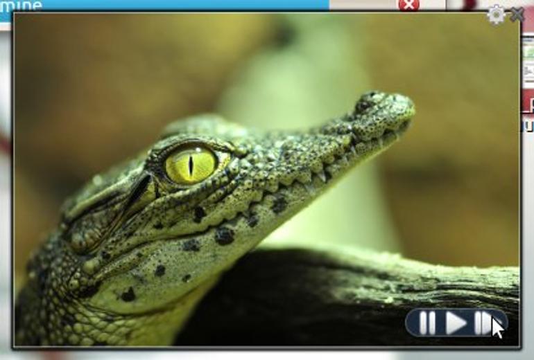 Slideshow Screenlet