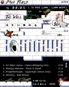 Skin: The Wall