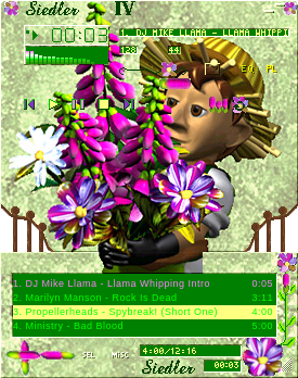 Winamp 2.78